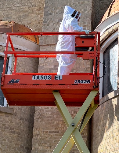 pest control and extermination